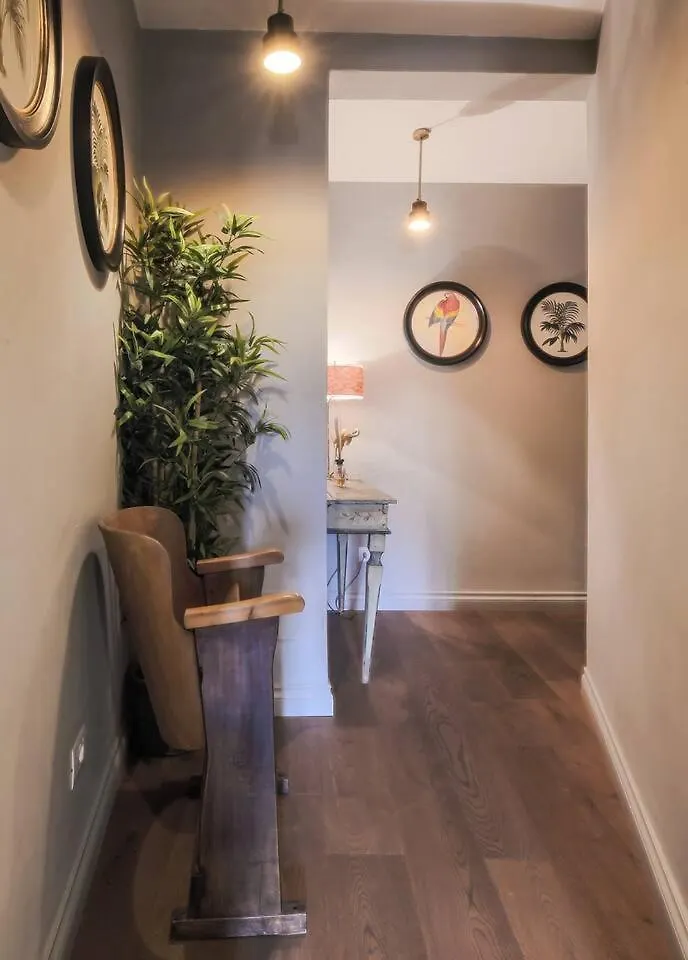Apartments Florence - Pitti 8 With Amazing View